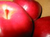 紅玉りんご