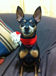 臨時休業のお知らせ